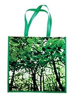 Bols ecológica tipo x 10u